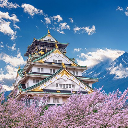 일본 유명 관광지 투어